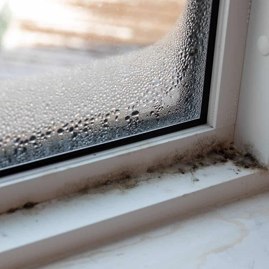 Fenster 4 Schimmel am Fenster